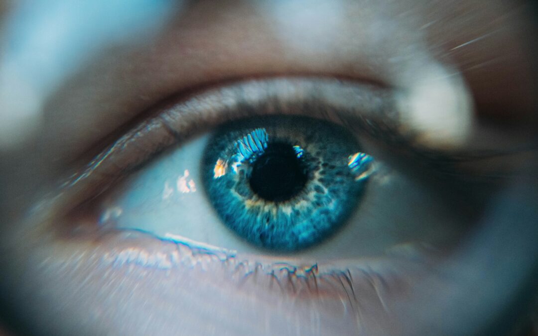 Seeing Through the Mind’s Eye