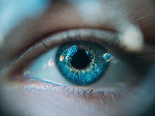 Seeing Through the Mind’s Eye