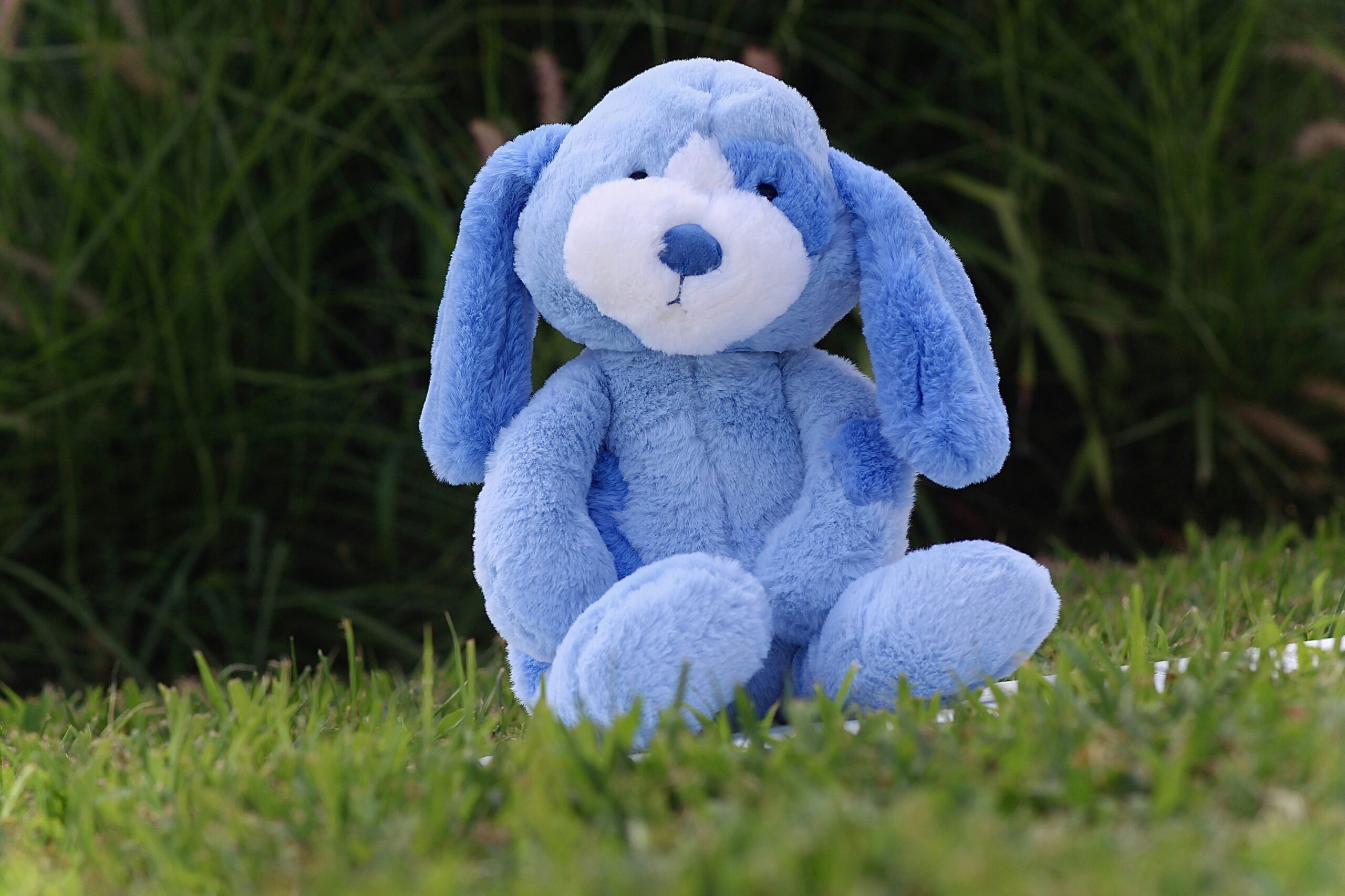vikram-singh-CD6Cfi_AHyk-unsplash A blue bunny plushie sitting on short green grass with taller dark green grass in the background